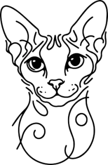 Cornish rex 2